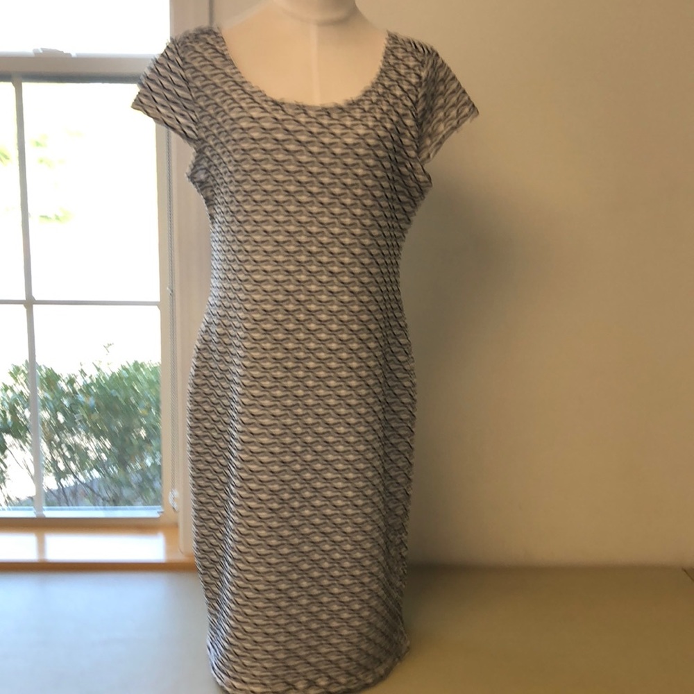 Sharagano black and white dress